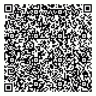 vCard 79301010294