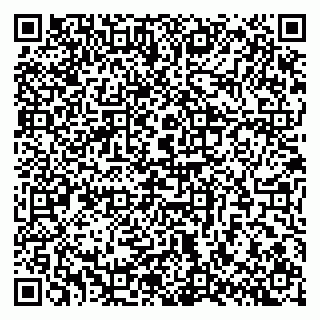 vCard 79301010331