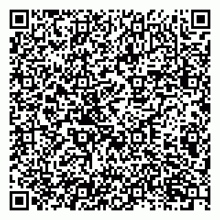 vCard 79301013003
