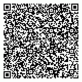 vCard 79301013389