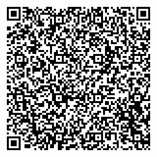 vCard 79301013733