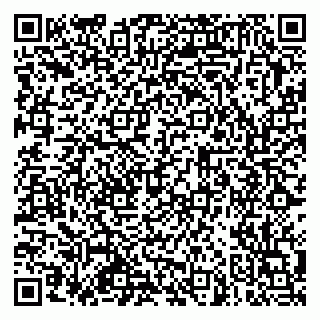 vCard 79301020033