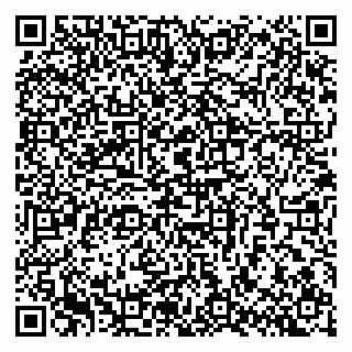 vCard 79301020331