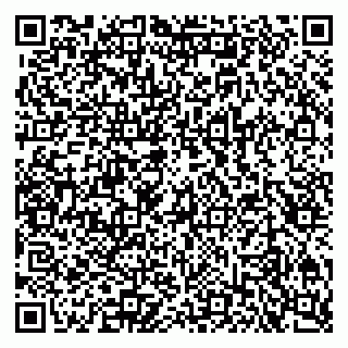 vCard 79301022133