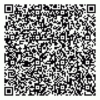 vCard 79301022381