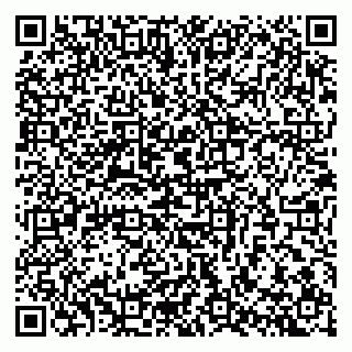 vCard 79301024133
