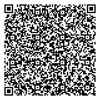 vCard 79301031493