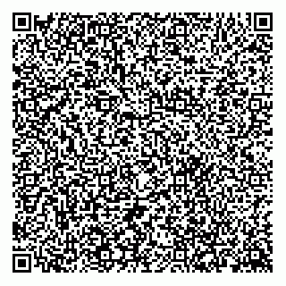 vCard 79302907907