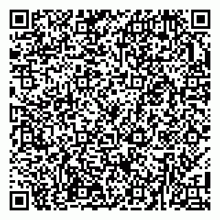 vCard 79303011039