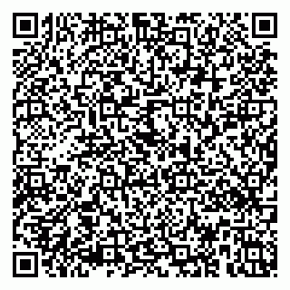 vCard 79303050173