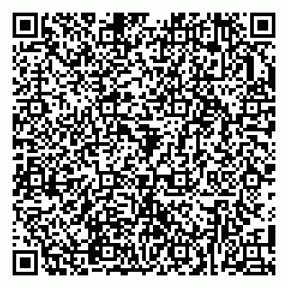 vCard 79303300331
