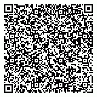 vCard 79303700287