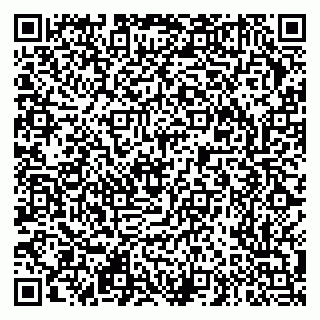 vCard 79303704125