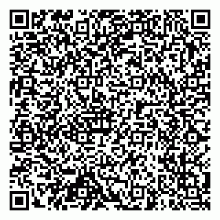 vCard 79304008739