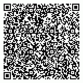 vCard 79304011039