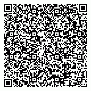 vCard 79304021039