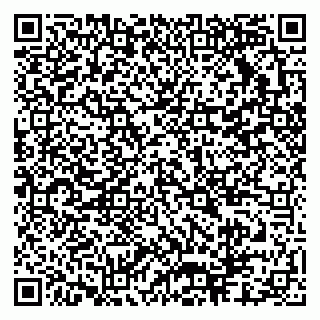 vCard 79304031039