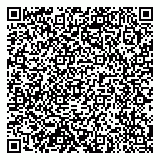 vCard 79304035587