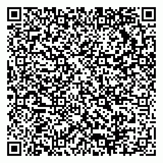 vCard 79304038739