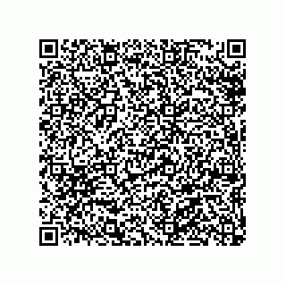 vCard 79308003133