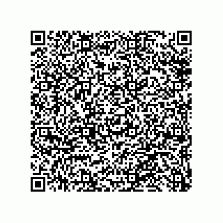 vCard 79311000026