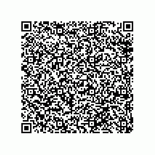 vCard 79311000121