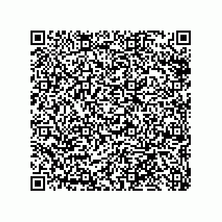 vCard 79311000139