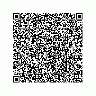 vCard 79311000380