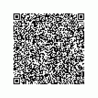 vCard 79311000399