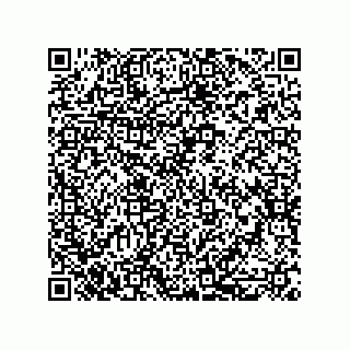 vCard 79311000530