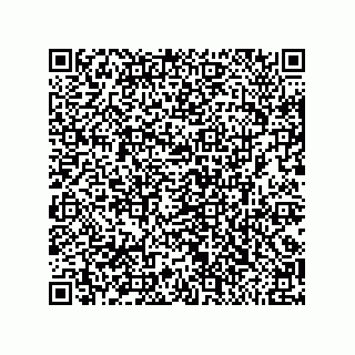 vCard 79311000537