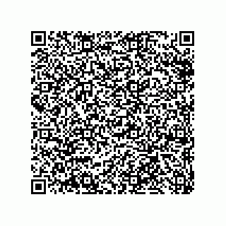 vCard 79311000539