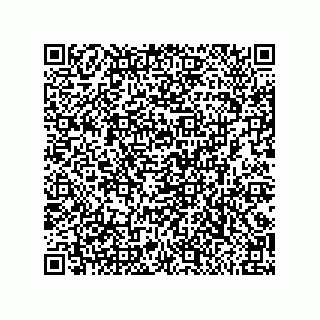 vCard 79311000621