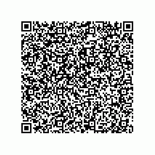 vCard 79311000738