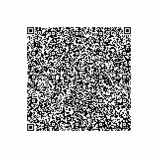 vCard 79313100041