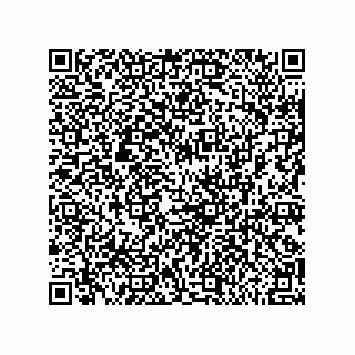 vCard 79314005131