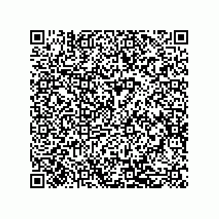 vCard 79314019331