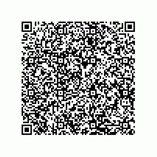 vCard 79314025331