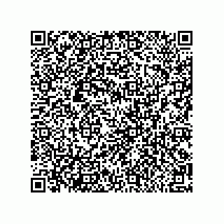 vCard 79314035063