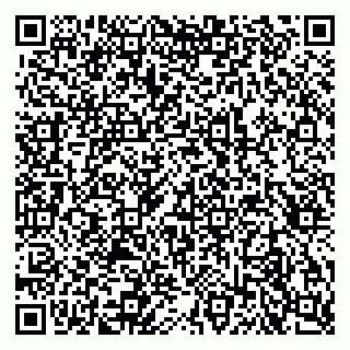vCard 79315001033