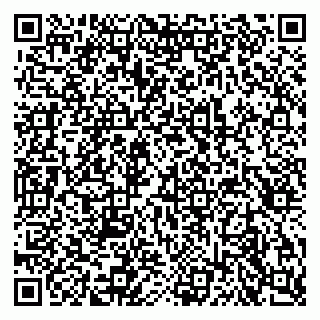 vCard 79315001067