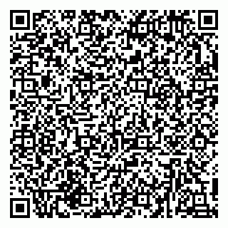 vCard 79317000539