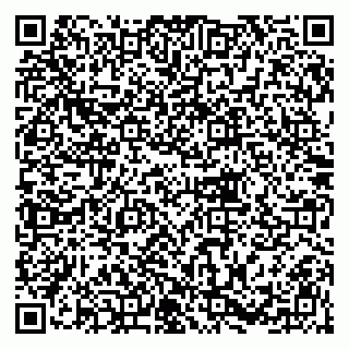 vCard 79317003539