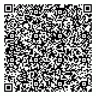 vCard 79318000399
