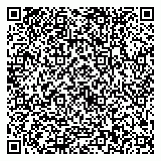 vCard 79321000100