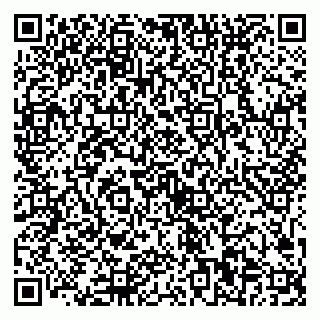 vCard 79321000539