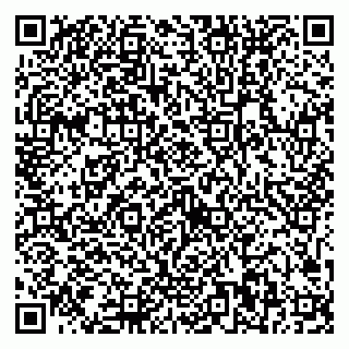 vCard 79321000839