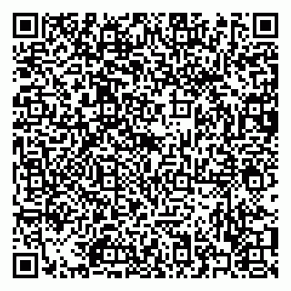 vCard 79322009333