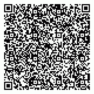 vCard 79322009335