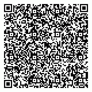 vCard 79322009381